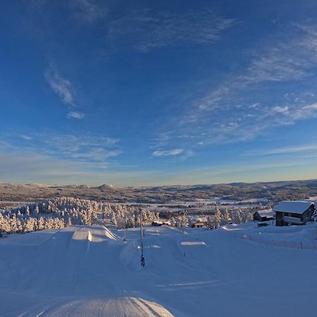 Toppvillan - Ski In - Ski Out - 200 M Till Toppen Och Cykelleder Järvsö Extérieur photo